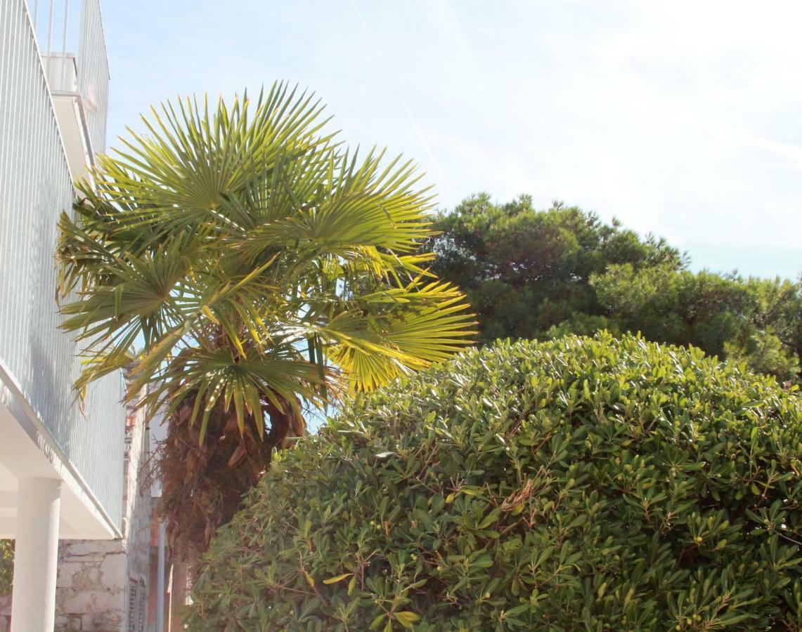 Tribalj Apartmani "Mali Mago" מראה חיצוני תמונה