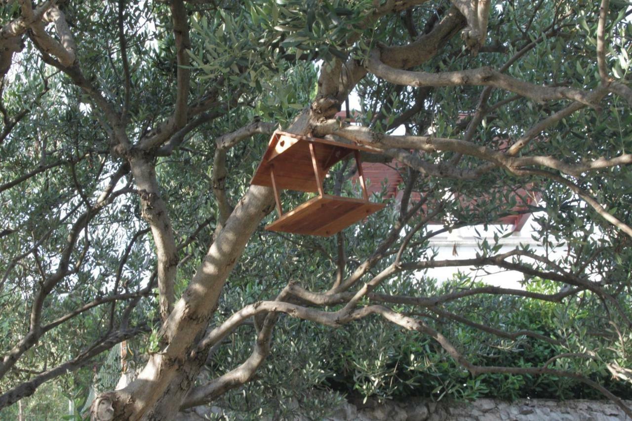 Tribalj Apartmani "Mali Mago" מראה חיצוני תמונה